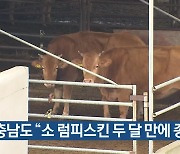 충남도 “소 럼피스킨 두 달 만에 종식”