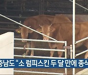 충남도 “소 럼피스킨 두 달 만에 종식”