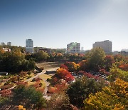 아주대학교, 의·약학·국방디지털 나군…대부분 다군 선발