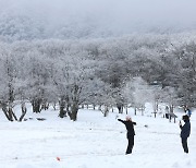 “날씨가 미쳤어요”…겨울비 그치자마자 15cm 폭설