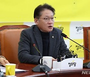 발언하는 배진교 원내대표