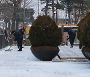 최강 한파가 오기 전에