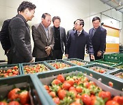 심민 임실군수, 딸기공선사업 출범식