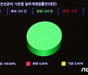 이태원참사 '사회재난' 규정 재난안전법 개정안, 국회 통과