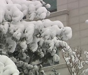 [날씨] 북극발 최강 한파에 전국 한파특보...서해안 대설특보