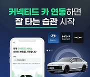 차봇-현대차, '내 차 관리 커넥티드 연동' 서비스 출시