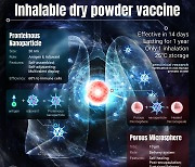 코로 들이마시는 코로나 백신 ‘눈 앞’...주사 대체할까