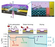 KIST, 수소가스 극미량도 실시간 검출하는 '테라헤르츠파' 광센서 개발