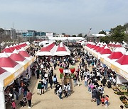 논산딸기축제, 충남도 '1시군 1품축제'서 1위