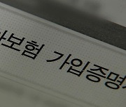 “내년 자동차 보험료 2.5% 안팎 인하”