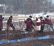 [함께하는K] 겨울에도 농촌 봉사활동…농업 이해 폭 넓혀