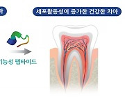 하이센스바이오, 치아 항노화 단백질 발견