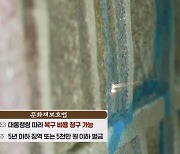 절박한 경복궁 돌담 앞…"신속 복원 위해 민간 대여라도"