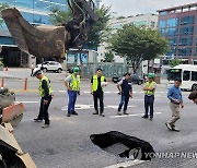 “우리동네는 설마 싱크홀 없겠지?”…서울시, 매년 5000㎞ 점검