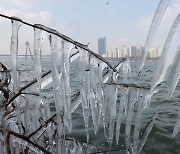 [포토] 한강 고드름