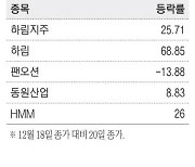 “자금부담 클 것”… 팬오션, HMM 인수 유탄