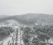 충남교육청, 대설·한파 재난상황관리전담반 운영