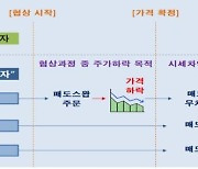 해외IB 이어 외국계 헤지펀드도 불법 공매도