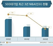 올해 국내 대기업 M&A 건수, 작년보다 62% 감소…투자액은 12%↓