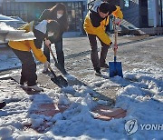 속초 도로변 빙판길 제거 작업