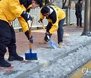 속초 도로변 빙판길 제거 작업