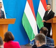 HUNGARY SLOVAKIA DIPLOMACY