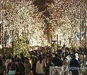 JAPAN CHRISTMAS ILLUMINATION