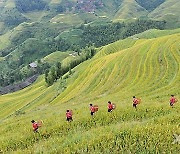 (EnchantingGuangxi)CHINA-GUANGXI-LONGSHENG-HONGYAO PEOPLE-FOLK COSTUMES (CN)