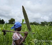 YE Top Photos Climate Change 2023