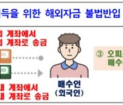 '환치기' 부동산 매입…외국인 위법의심거래 272건 적발