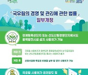 산림청, 보전국유림 내 풍력 설비 설치 가능 대안 마련