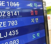 "잠깐 눈 좀 치우고 갈게요"…제주공항 항공기 줄줄이 '지연'