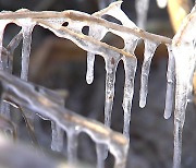 [날씨] 북극발 최강 한파에 서울 -14.4℃...서해안 대설 계속