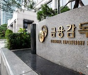 블룸버그 "금감원, 무차입 공매도 HSBC·BNP파리바 과징금 각 100억 권고"