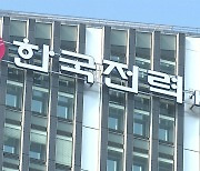 '태양광 비리' 한전 직원 10명 해임‥3개 기관 131명 중징계