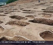 가야 고분 보존가치 지키려면?…“통합관리기구 설치해야”