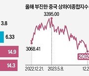 中 쏙 빼고 신흥국에 투자한 ETF 웃었다