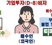 부울경에서 외국인의 주택·오피스텔 위법 의심 거래 무더기로 적발돼