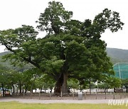 삼척시, 문화재청 국가유산 관리역량 진단 ‘우수 지자체’ 선정