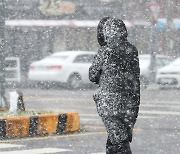 대설경보 제주 한라산, 눈 53㎝ 쌓여…눈길 사고 잇따라