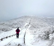 지리산 노고단의 설경 [오늘의 한 컷]