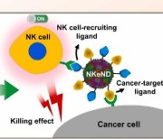 자기 면역세포로 암세포 제거…UNIST, 나노드론 개발