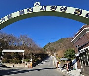 장성·도계광업소 폐광하면…산재보상 ‘황금어장’?