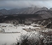 나리분지의 겨울