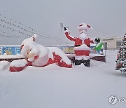 폭설 내린 대천해수욕장