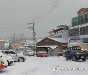 인천 대청도에 '대설'