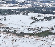 하얗게 변한 제주도축산진흥원