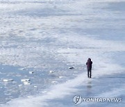 최강한파에 얼어붙은 갯벌