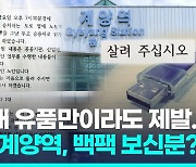 [영상] "제발 살려달라"…아내 유품 든 가방 잃은 70대의 절절한 호소