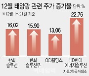 태양광株, 온기에 얼음 녹고 '기지개'… 내년 전망 맑을까